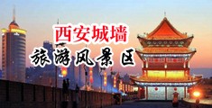 日日操屄中国陕西-西安城墙旅游风景区