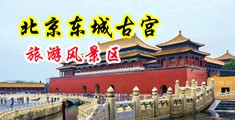 快拔出来射了亚洲淫乱中国北京-东城古宫旅游风景区
